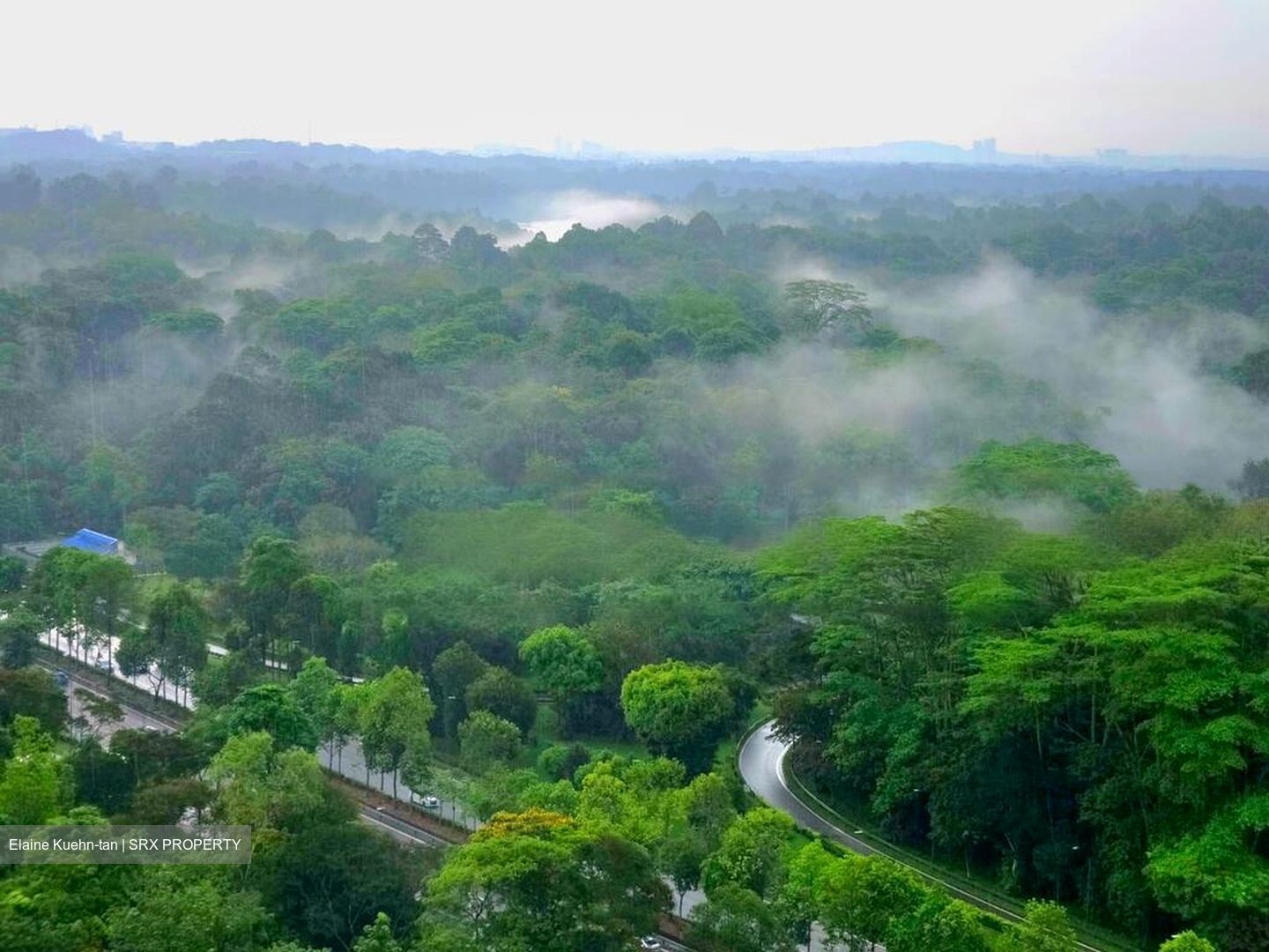 Eco Sanctuary (D23), Condominium #483628781